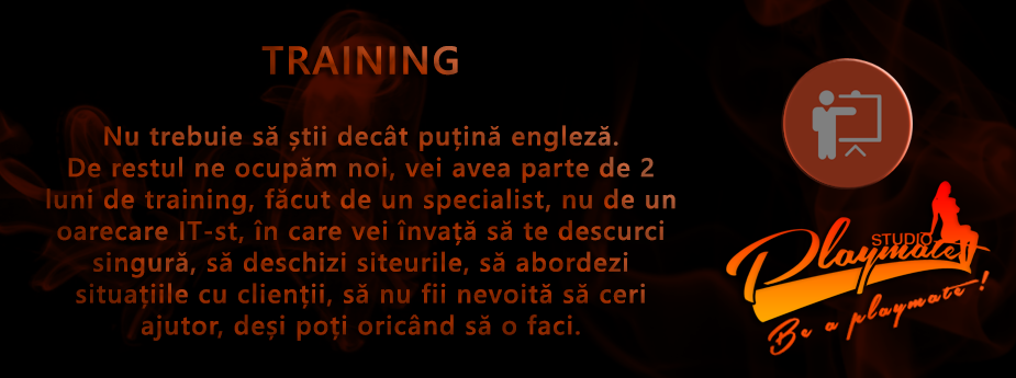 Alegere siteuri